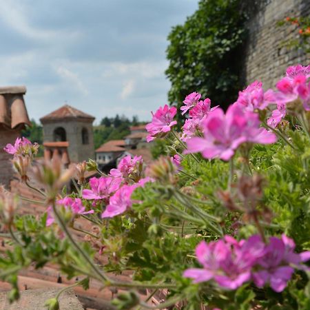 Dimora Storico Romantica Il Sole E La Luna Cerretto Langhe Eksteriør bilde